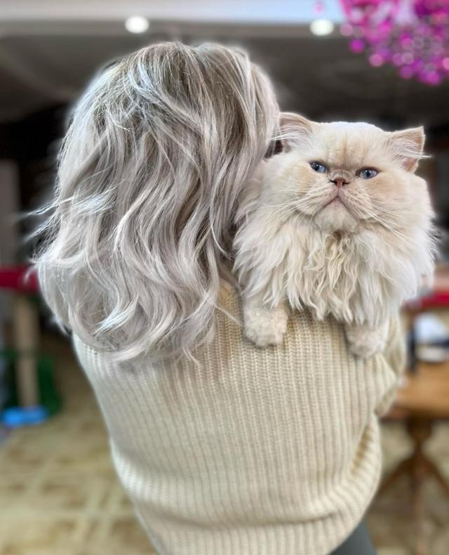 Temporary Hair Color 64